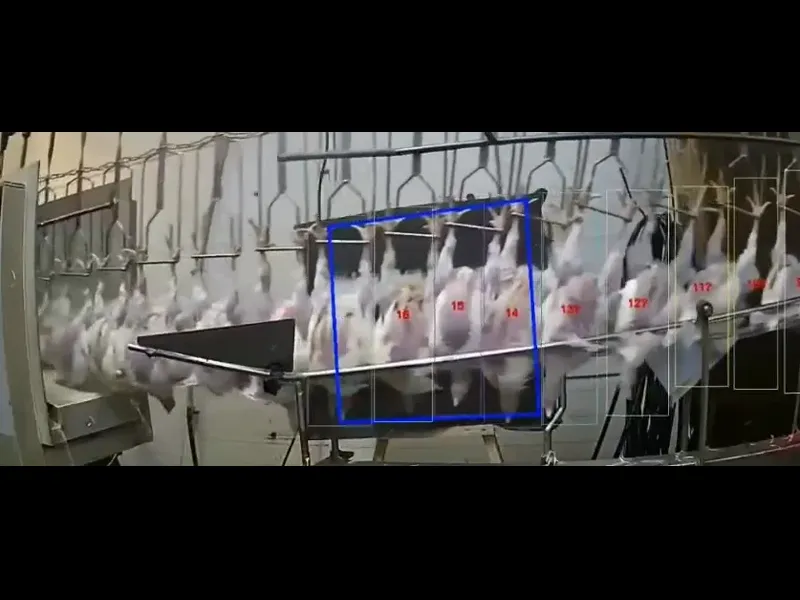 Production Line